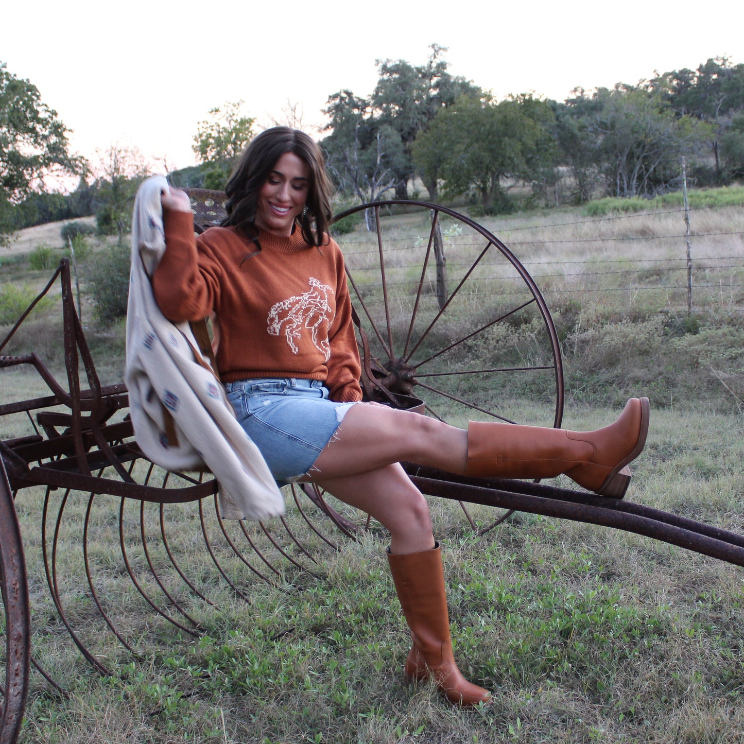 Wrangler Rust Horse Sweater