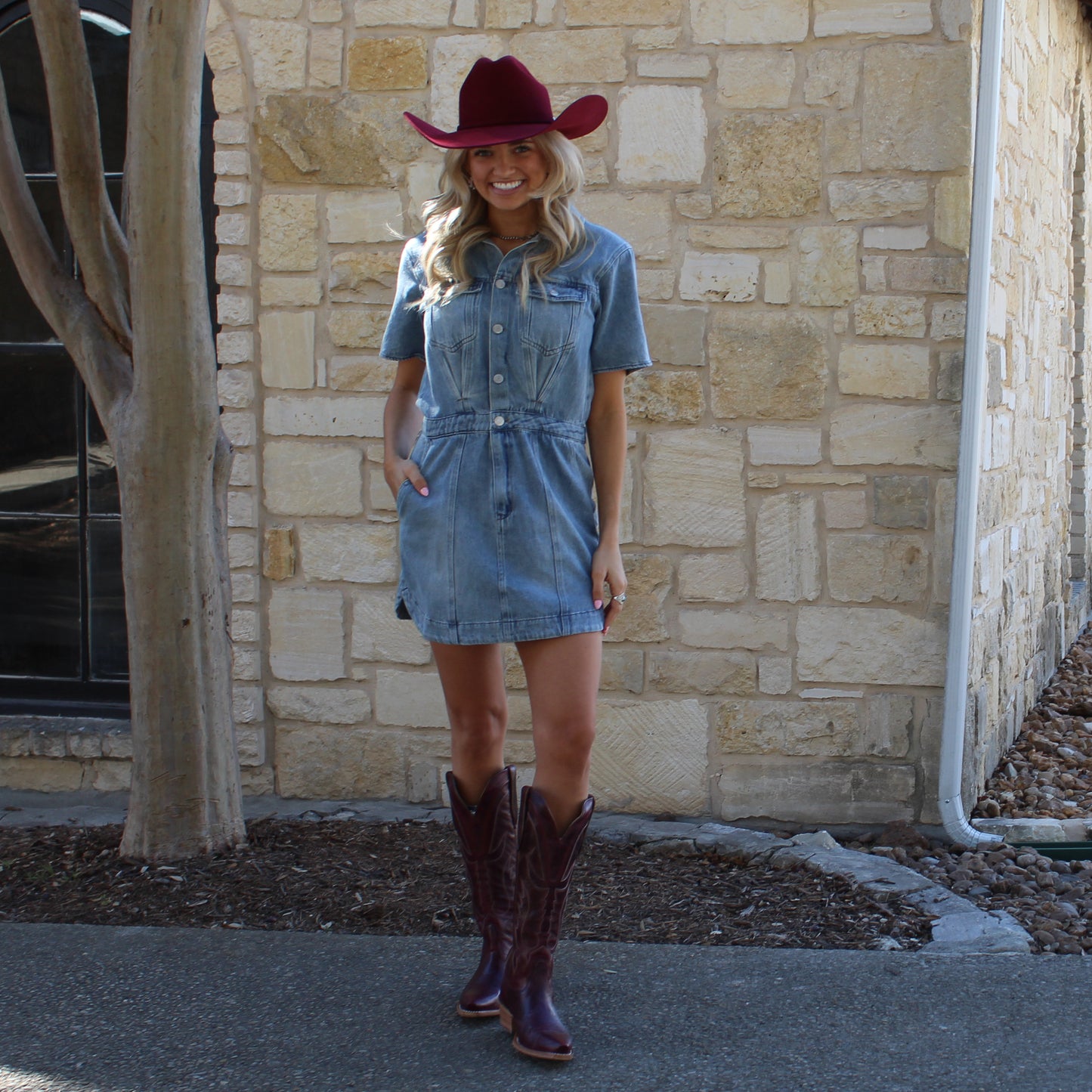 Eesome Denim Button Down Collared Dress