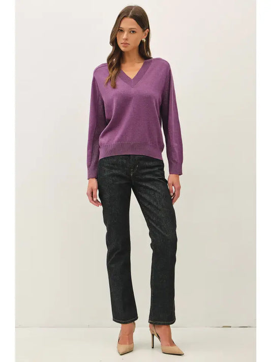 Be Cool Grape Deep V-neck Sweater