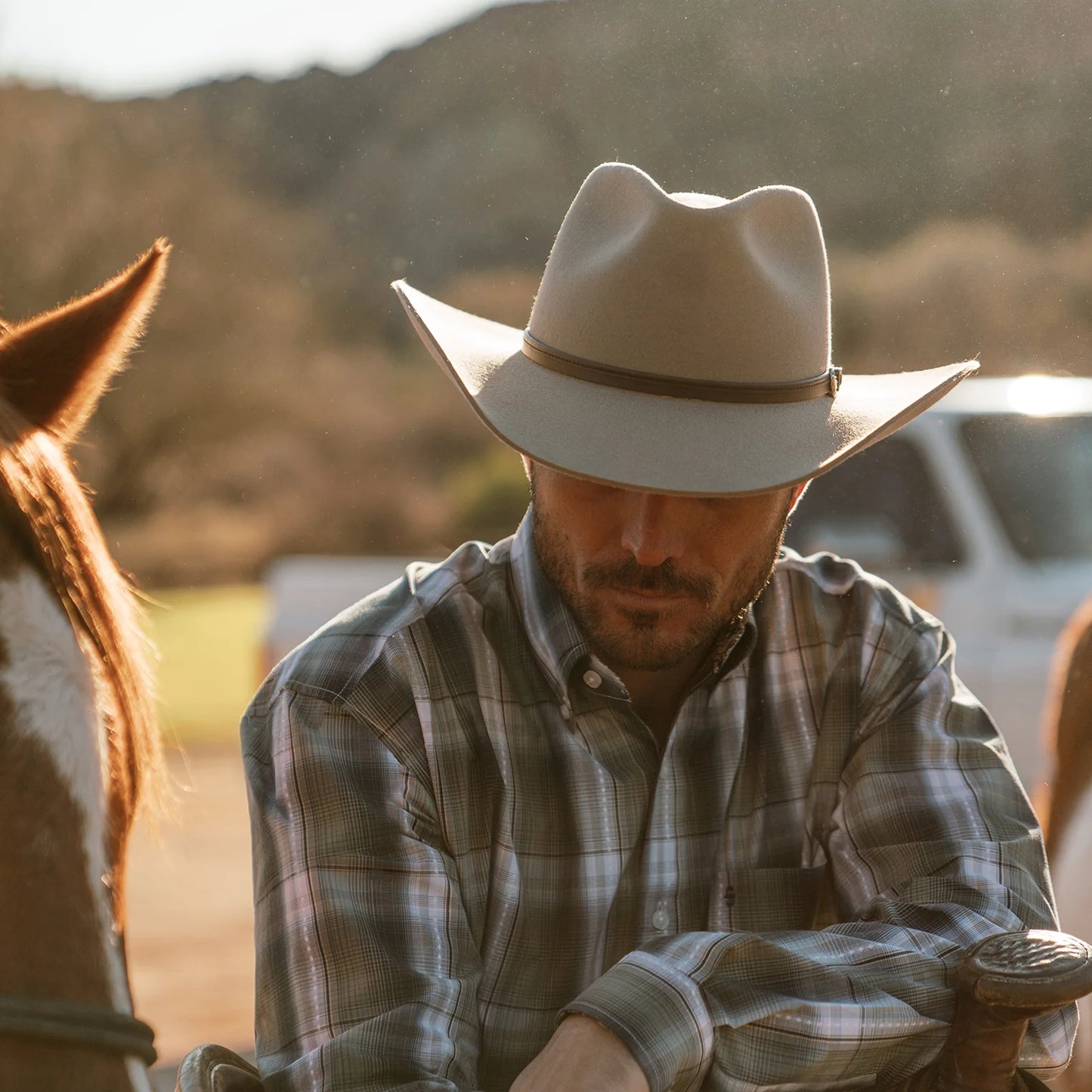 Stetson Seneca Silver Sand