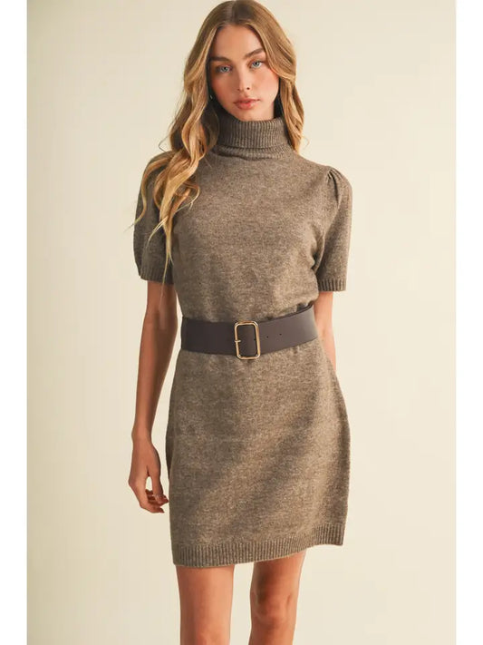 Mustard Seed Turtleneck Sweater Dress