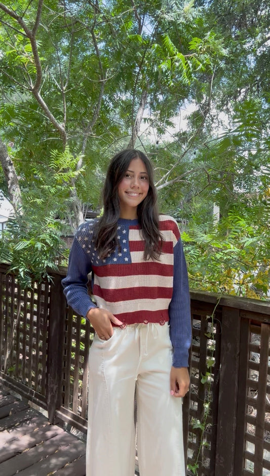 Ariat American Flag Sweater - Petticoat Junction