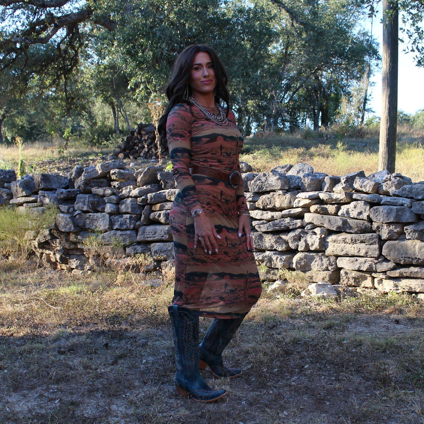 Wrangler Desert Print Mesh Maxi Dress