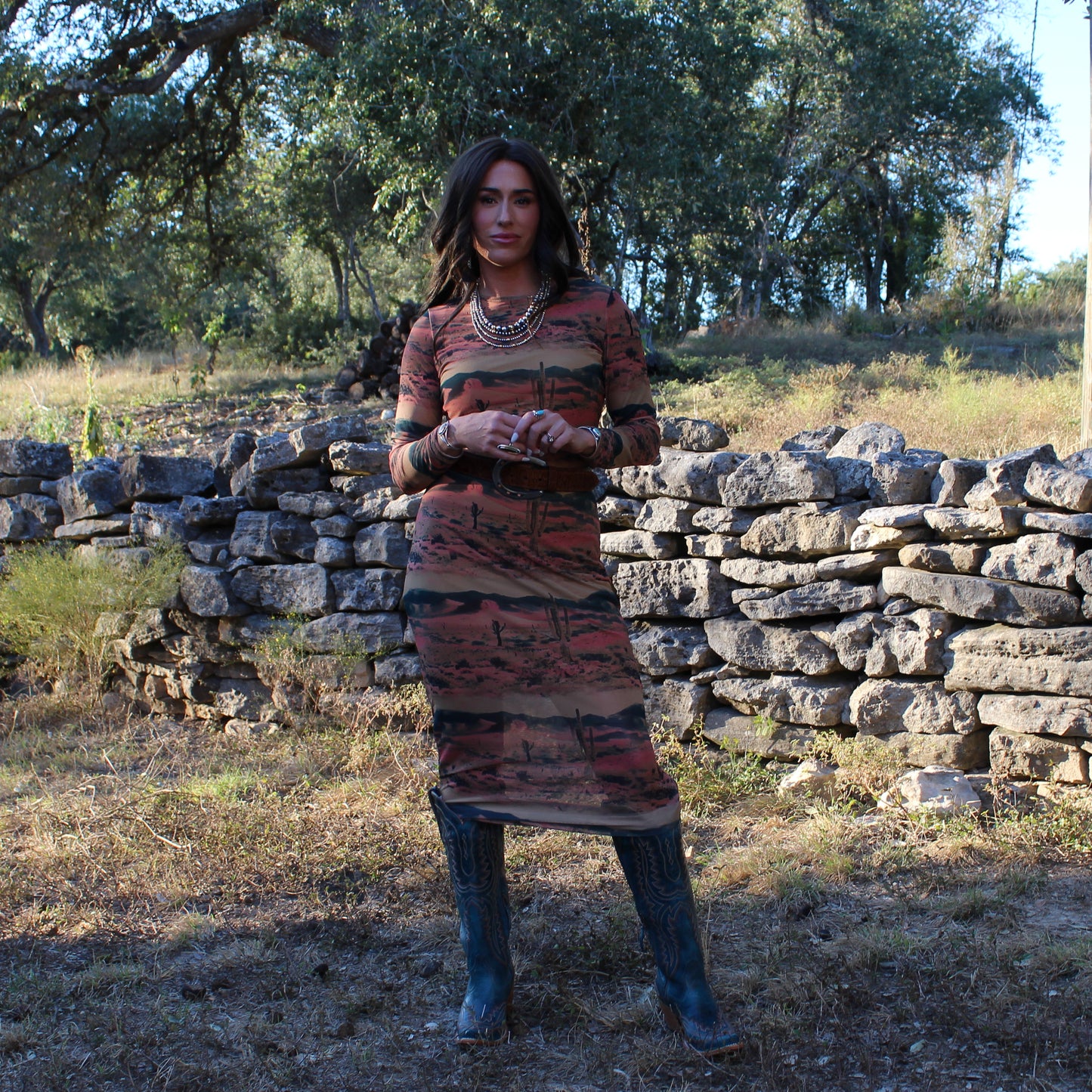 Wrangler Desert Print Mesh Maxi Dress