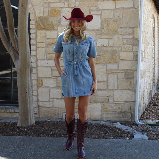 Eesome Denim Button Down Collared Dress