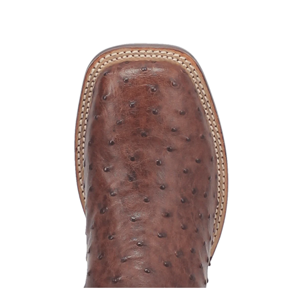 Dan Post Alamosa Full Quill Chocolate