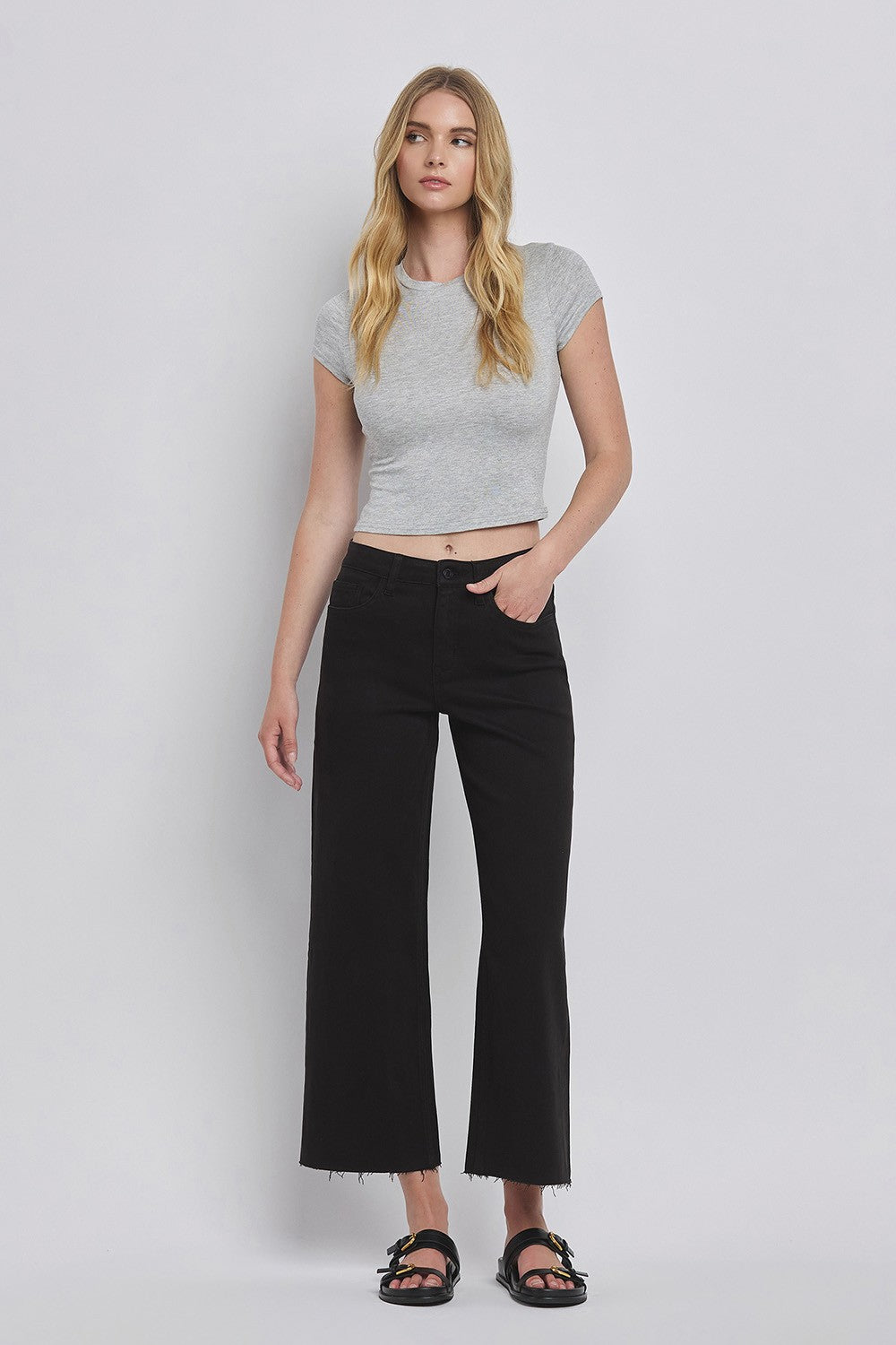 Vervet Black HR Crop Wide Leg Jean