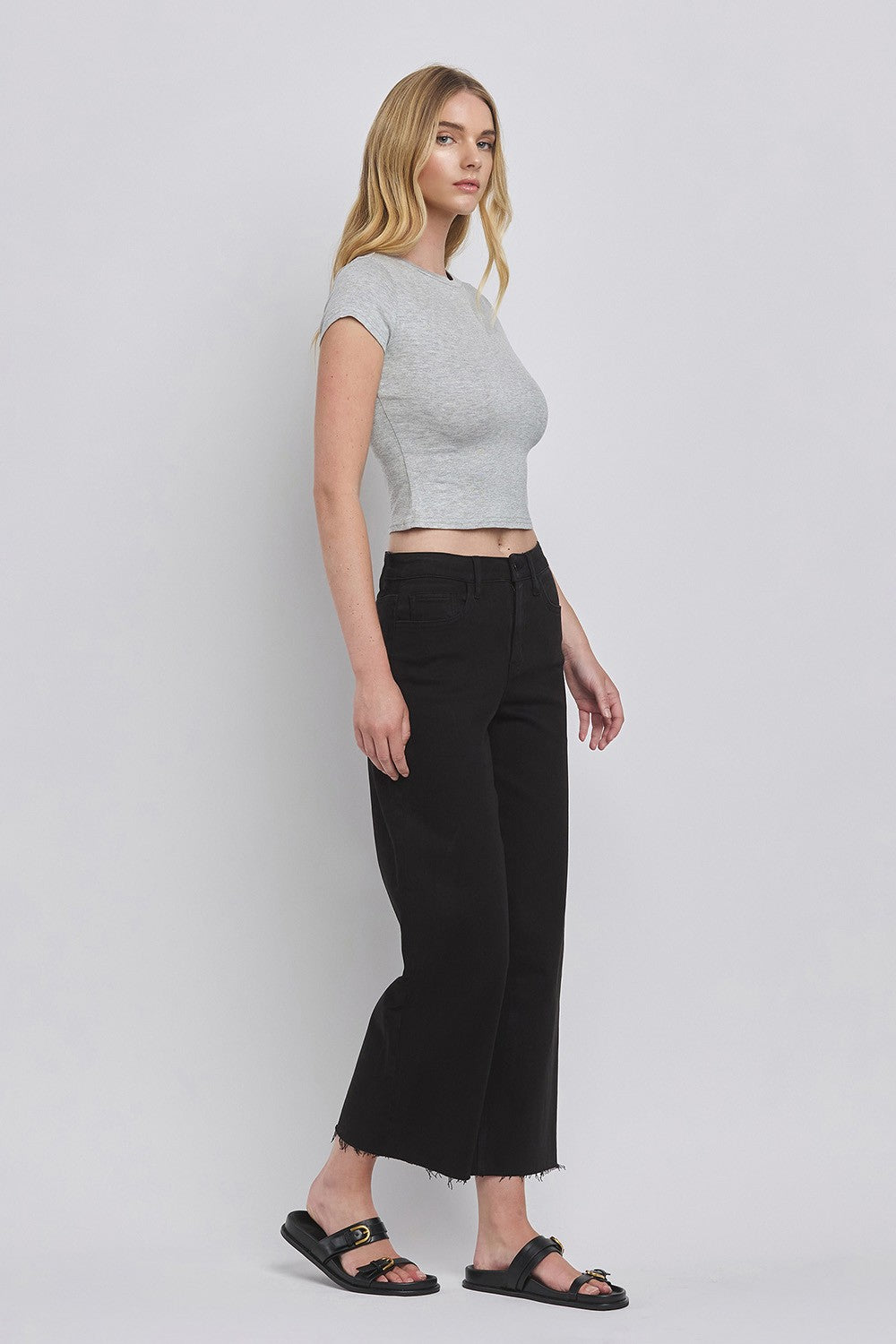 Vervet Black HR Crop Wide Leg Jean
