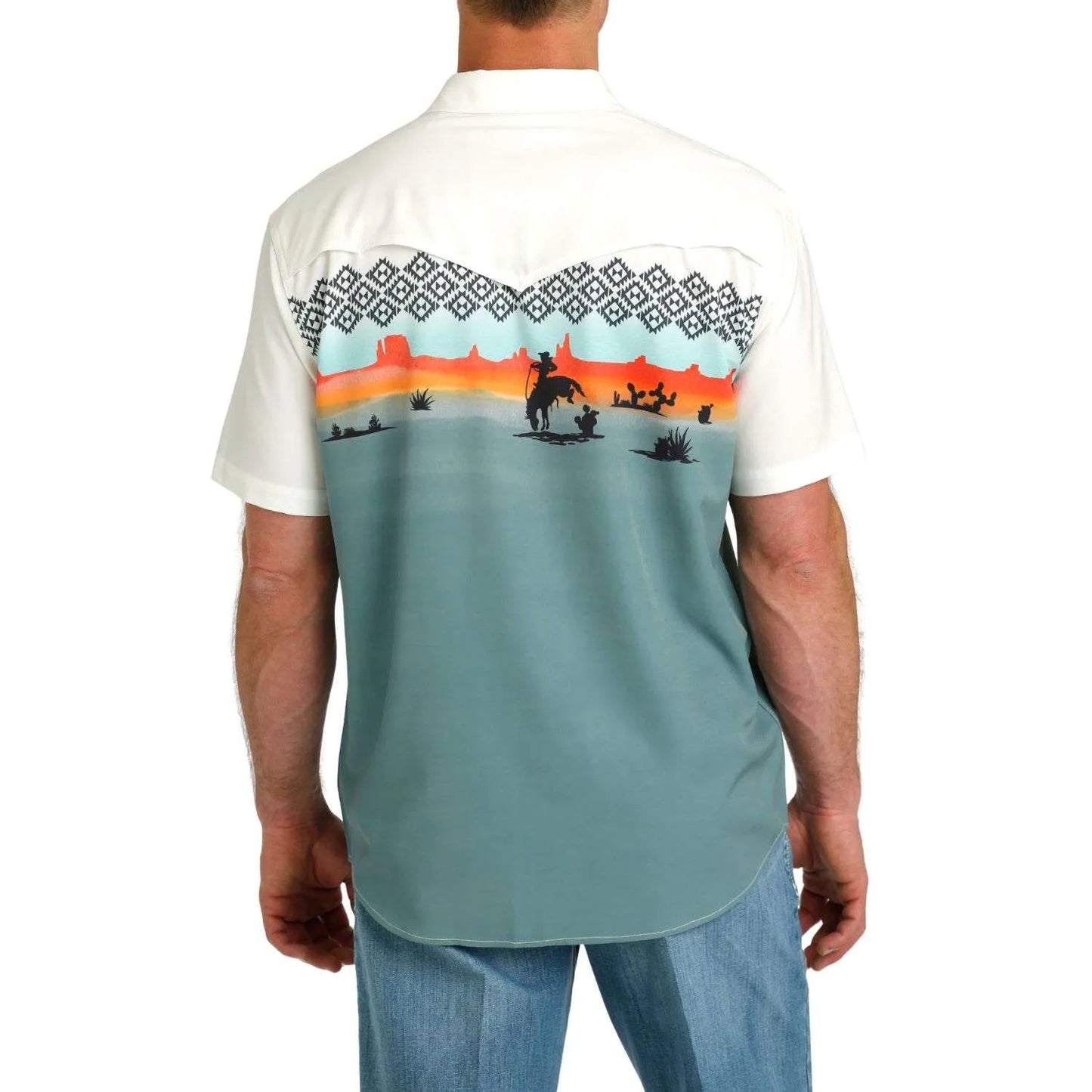 Cinch Desert Scene Snap Shirt