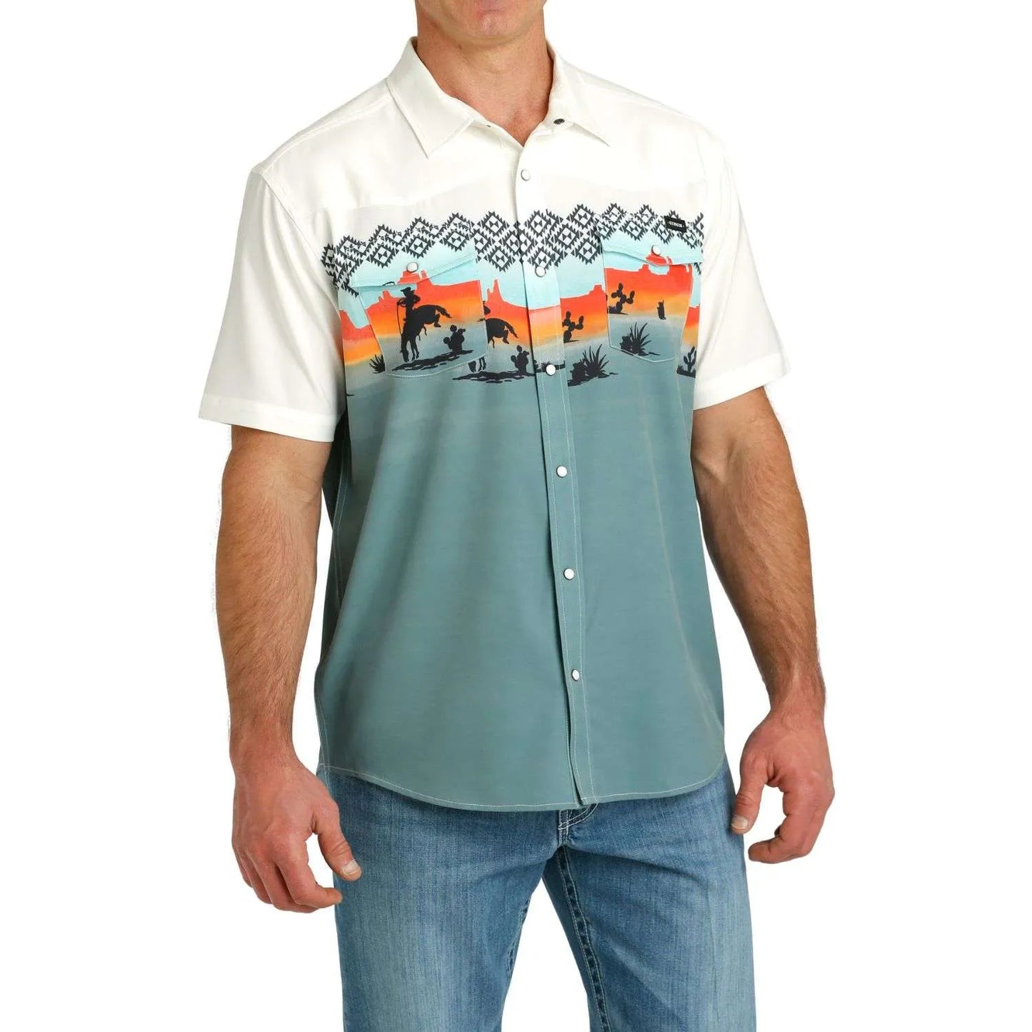 Cinch Desert Scene Snap Shirt