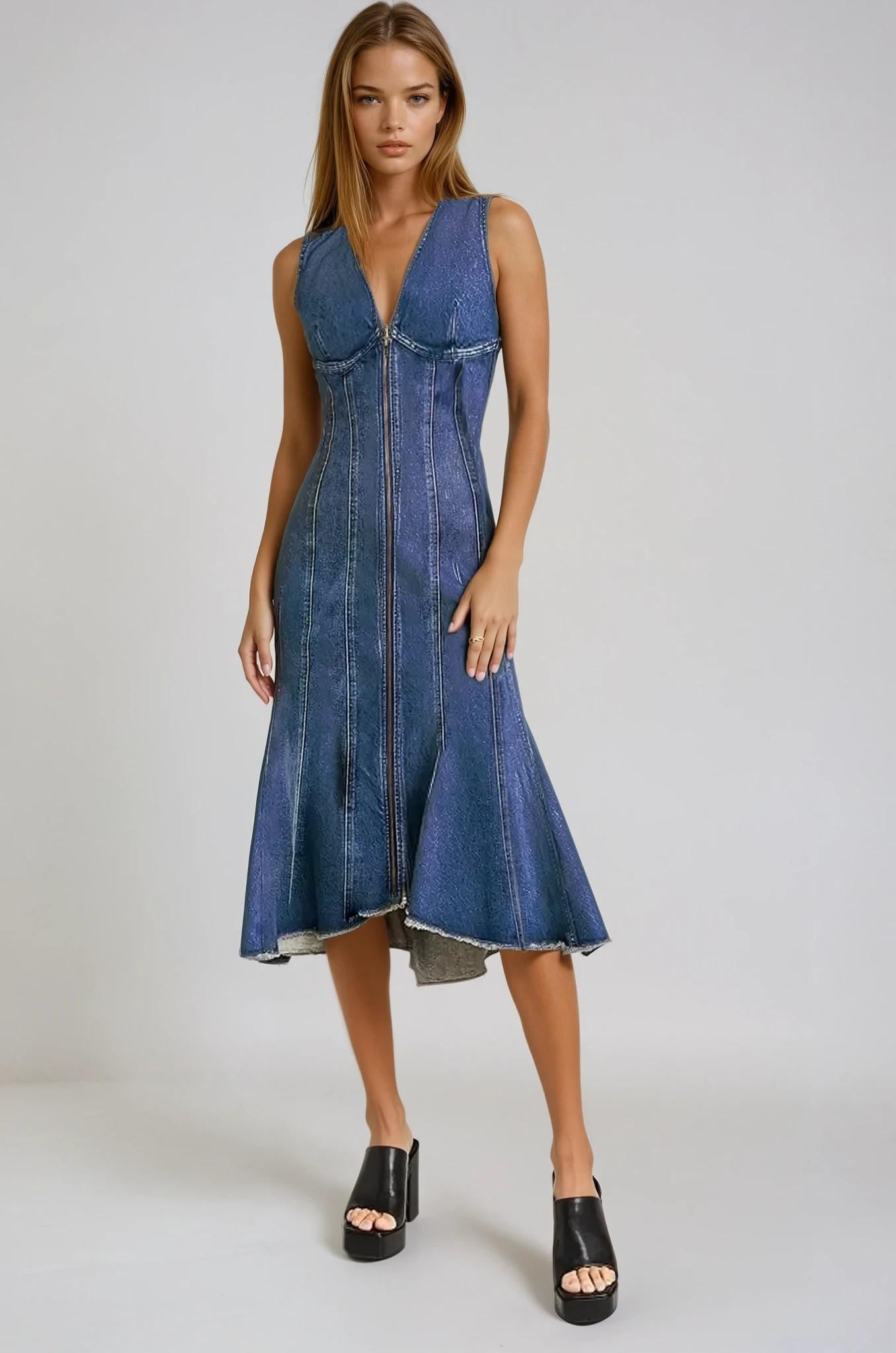 WL Panelled Denim Dress