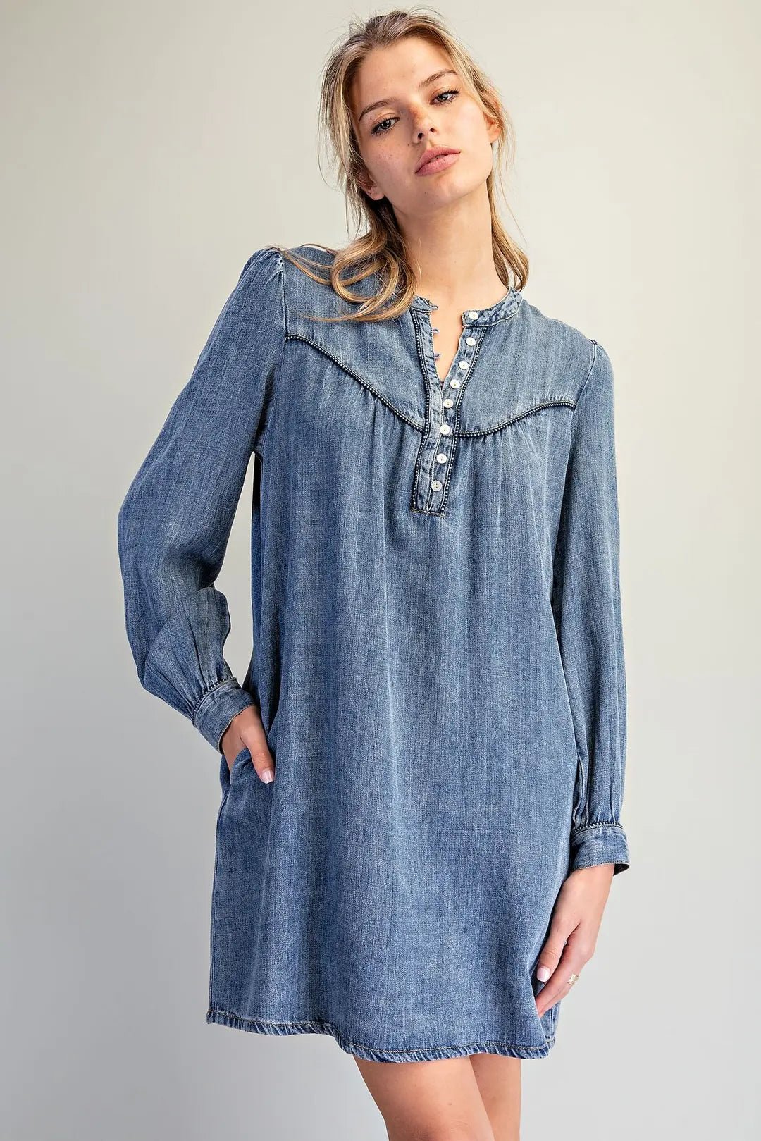 Eesome Denim Button Down Dress