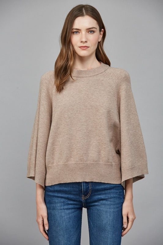 Fate Mocha Wide Sleeve Sweater
