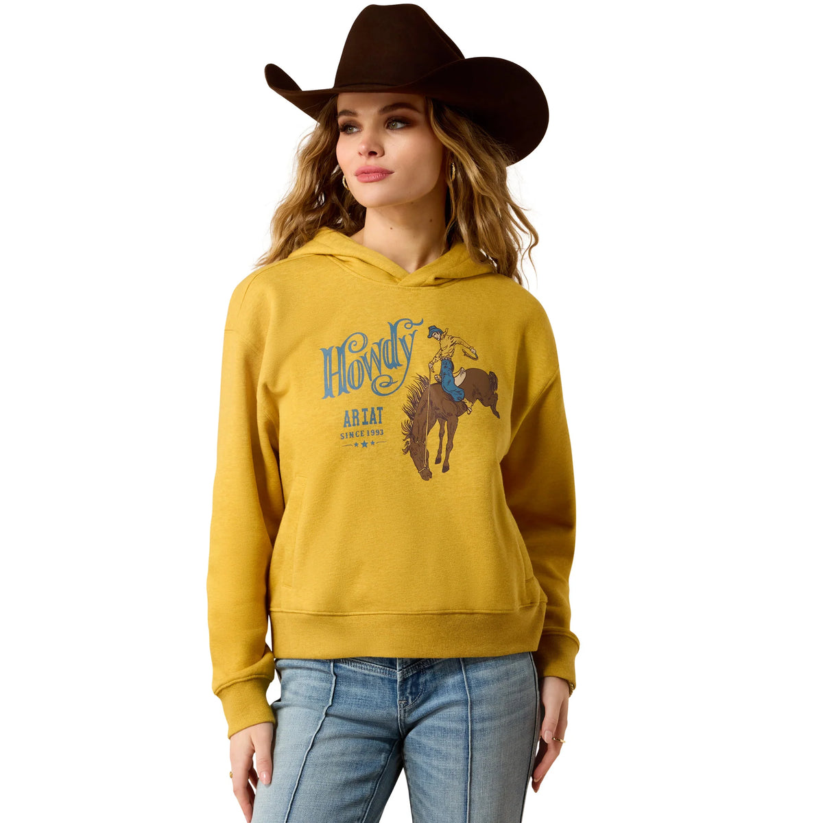 Ariat Tinsel Heather Hoodie