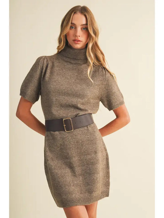 Mustard Seed Turtleneck Sweater Dress