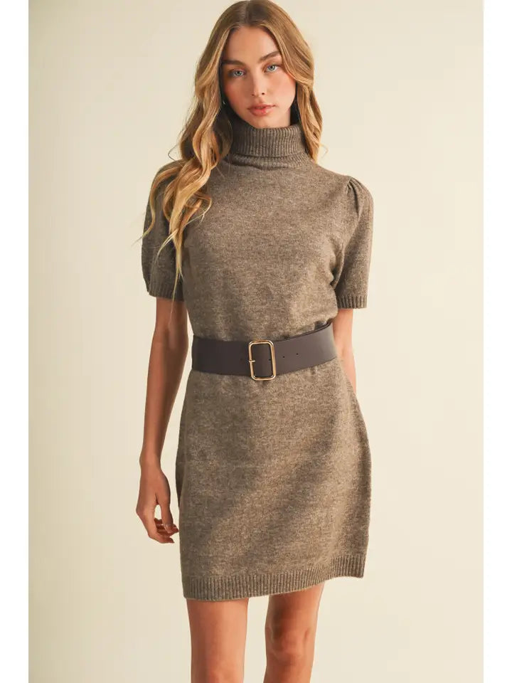 Mustard Seed Turtleneck Sweater Dress