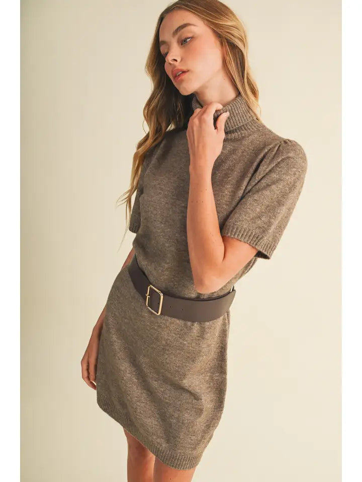 Mustard Seed Turtleneck Sweater Dress